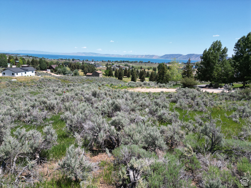 View of mountain background