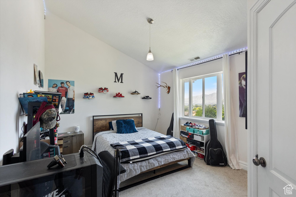 Bedroom featuring carpet flooring, lofted ceiling, and a textured ceiling