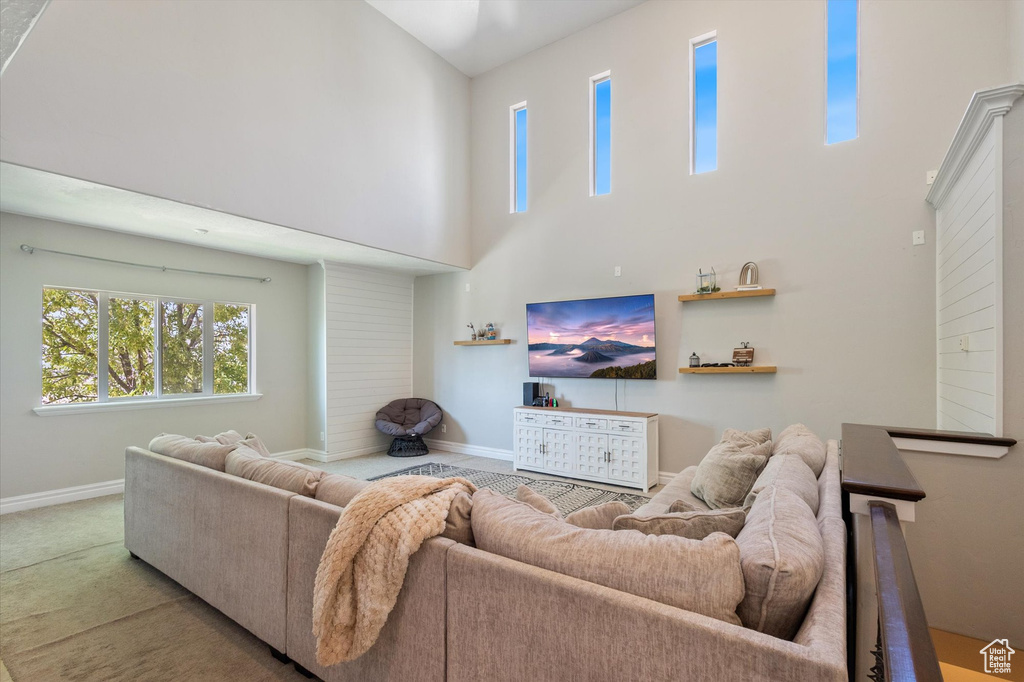 Living area featuring a towering ceiling and carpet flooring