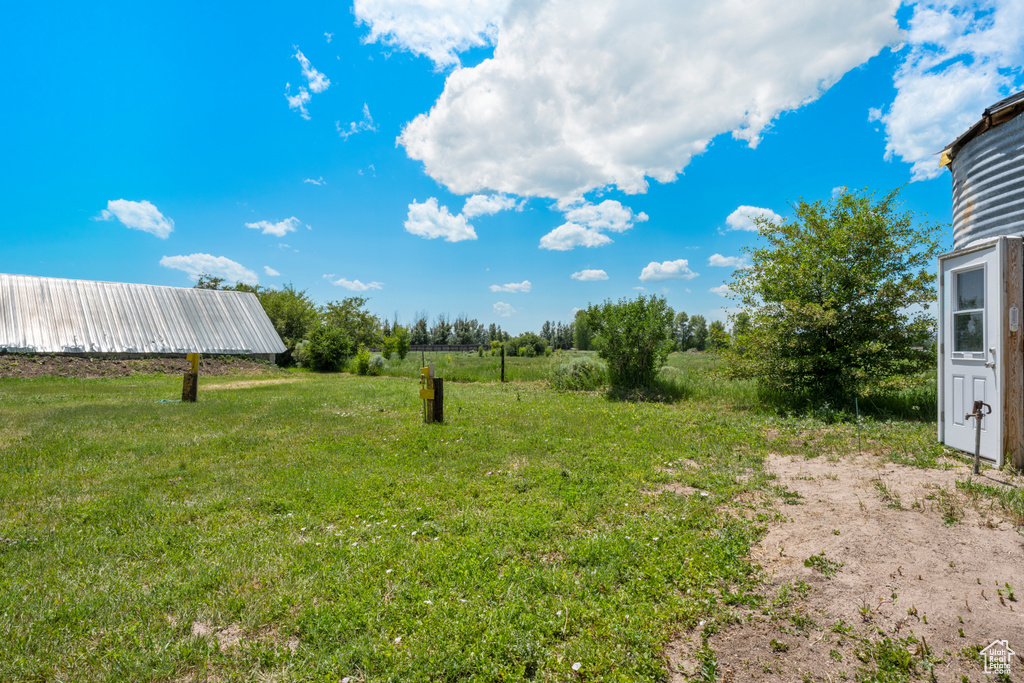View of green lawn