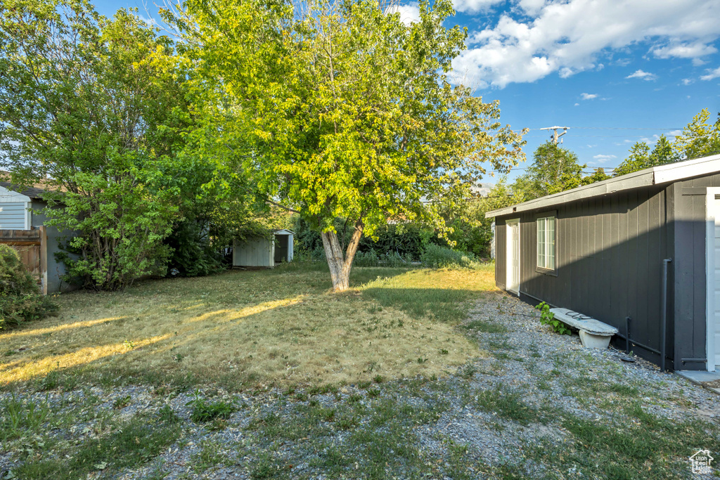 View of yard featuring a storage shed