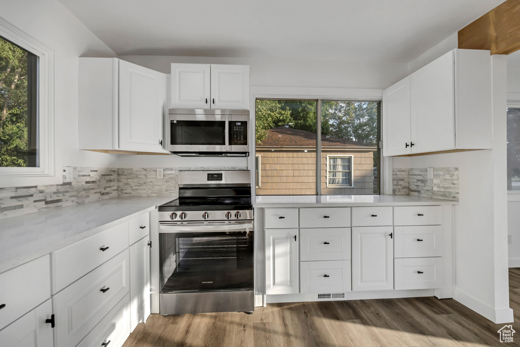 Kitchen featuring stainless steel appliances, light countertops, dark wood finished floors, and plenty of natural light