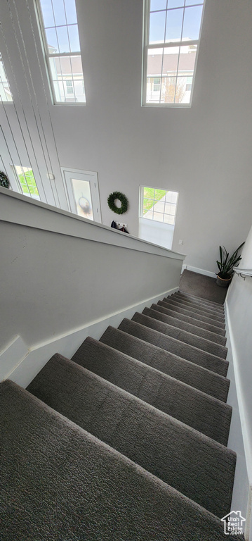 Stairway featuring plenty of natural light, a high ceiling, and carpet flooring