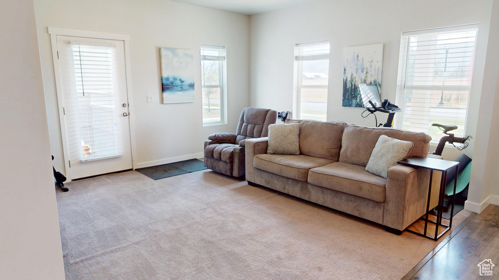 Living room with healthy amount of natural light