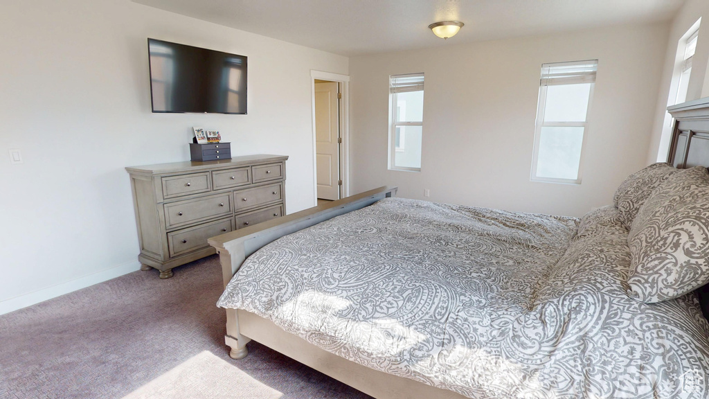 Carpeted bedroom featuring multiple windows