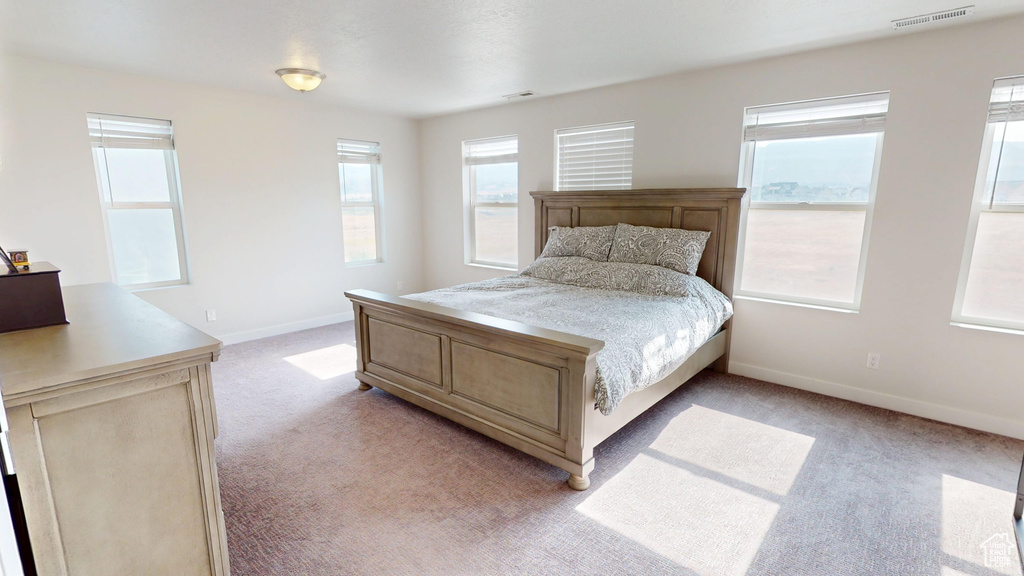 Bedroom with light colored carpet and multiple windows