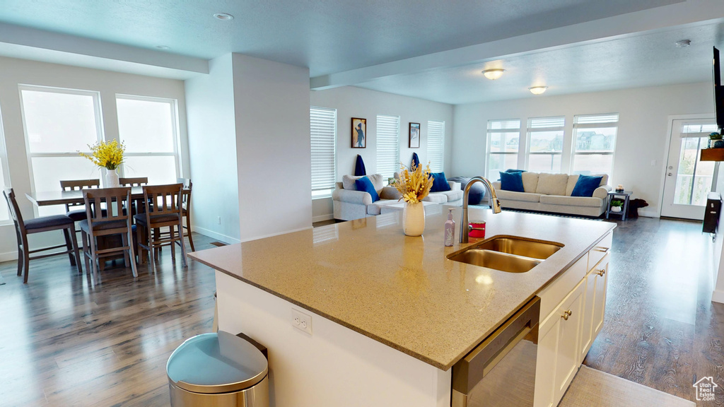Kitchen with dishwasher, dark wood finished floors, open floor plan, and white cabinets