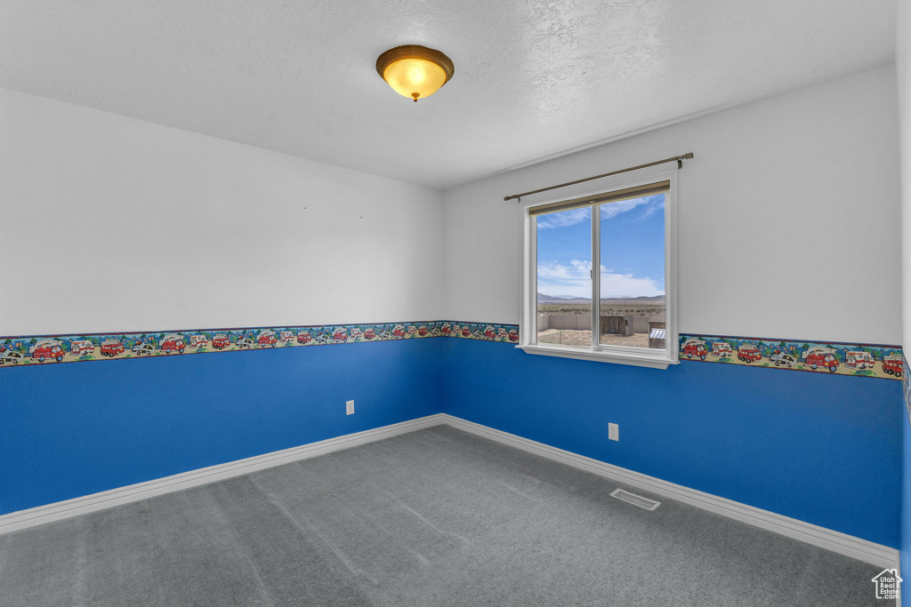 Unfurnished room featuring carpet and a textured ceiling