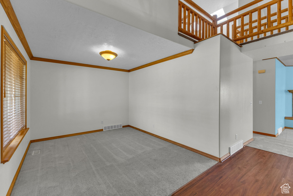 Carpeted spare room with crown molding and a textured ceiling