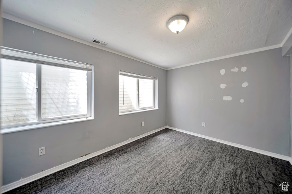Unfurnished room featuring crown molding and carpet flooring