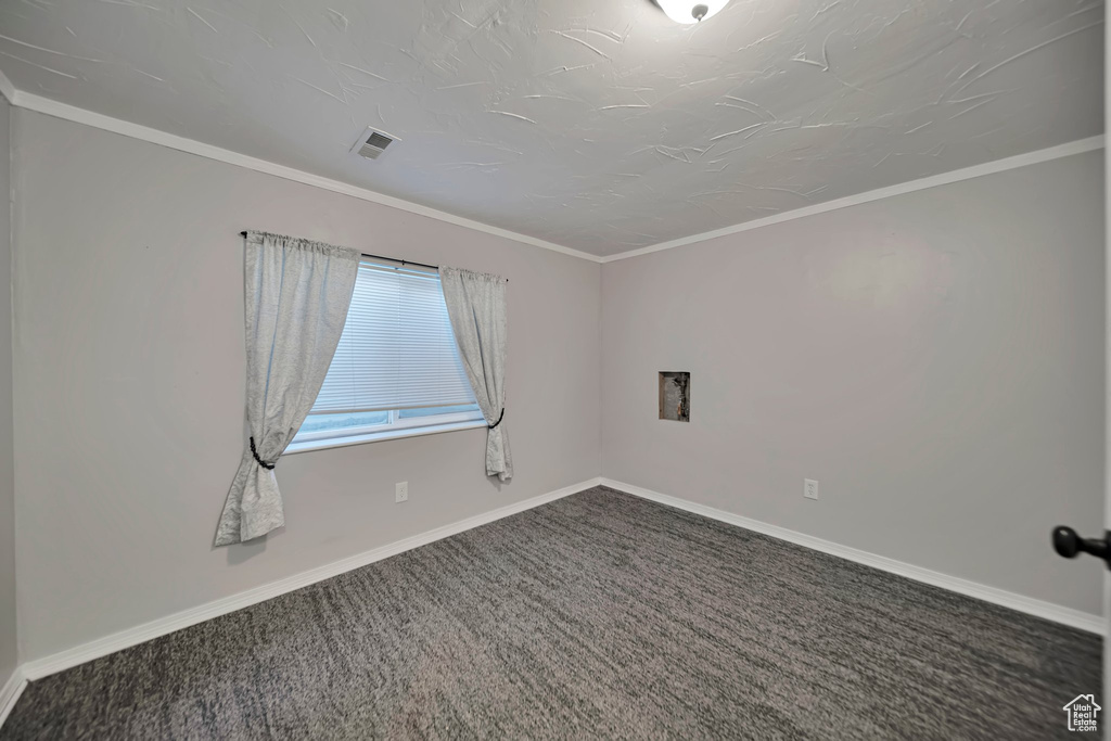 Spare room with carpet flooring and ornamental molding