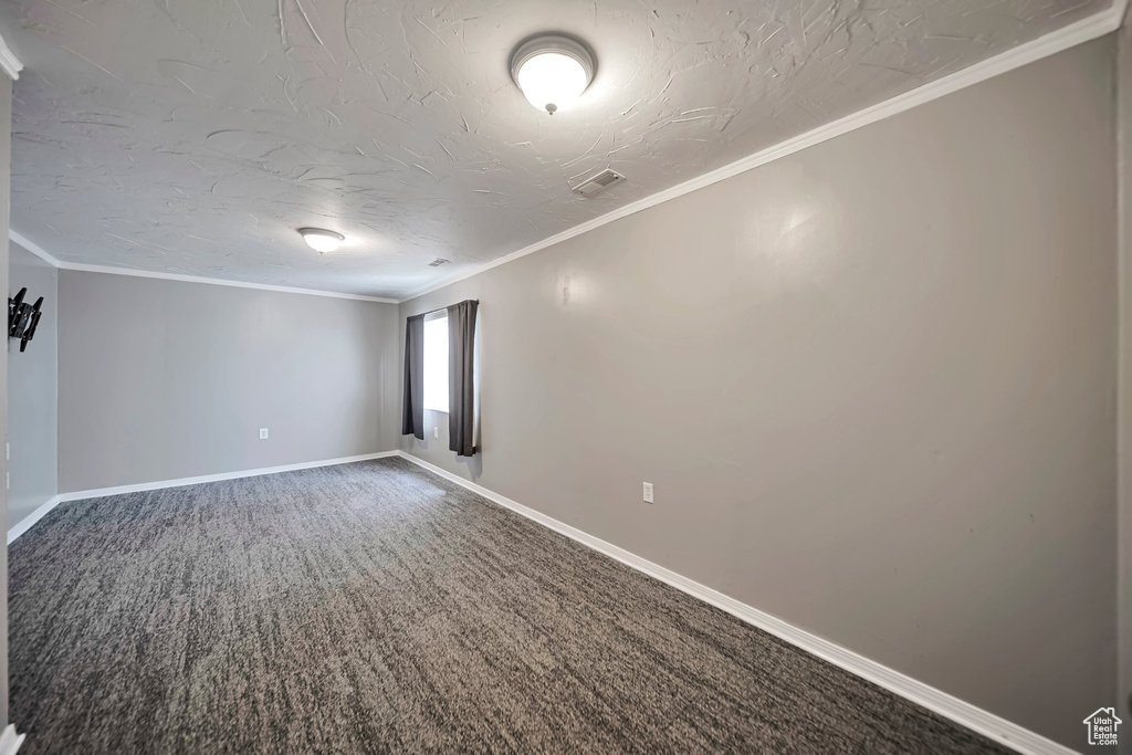 Spare room with crown molding, carpet, and a textured ceiling