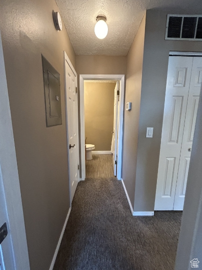 Hall featuring electric panel, carpet flooring, and a textured ceiling