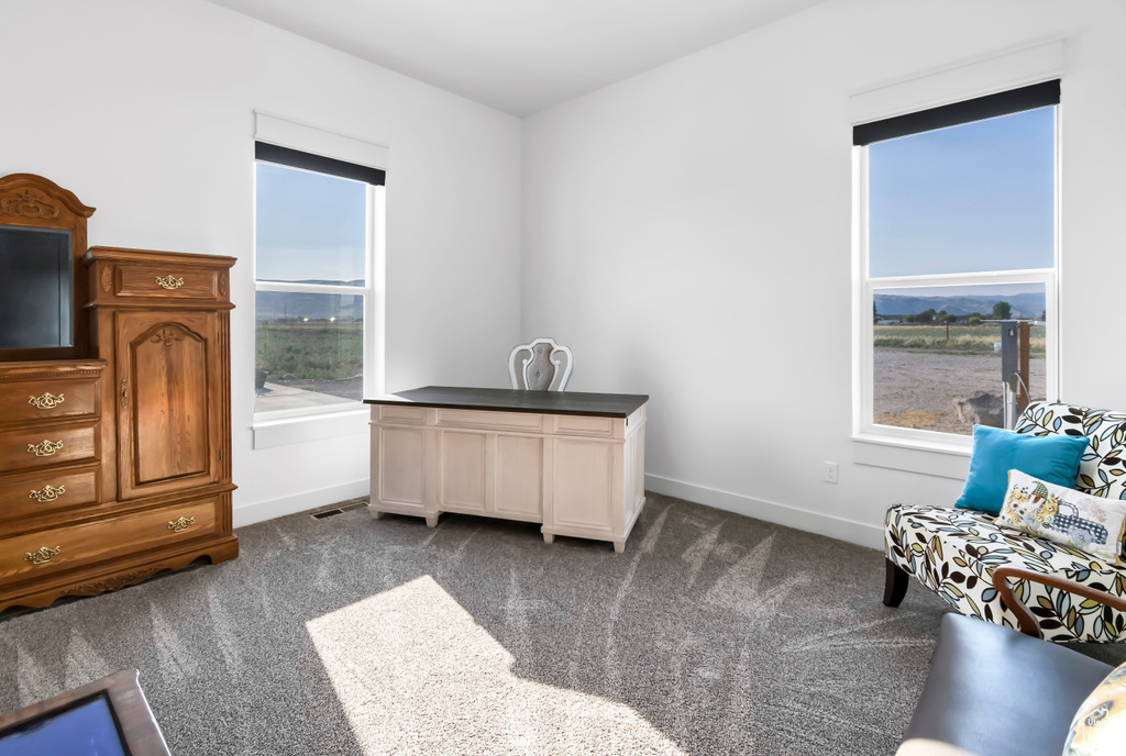 Living area featuring dark carpet and baseboards