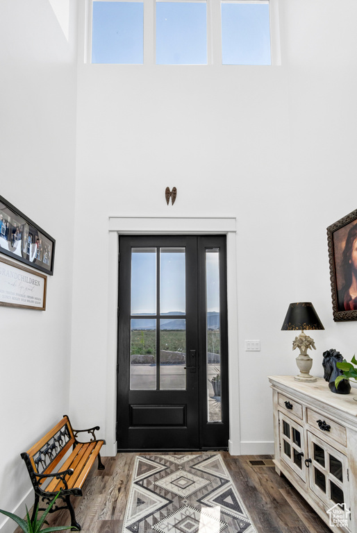 Entrance foyer featuring a high ceiling and dark wood finished floors