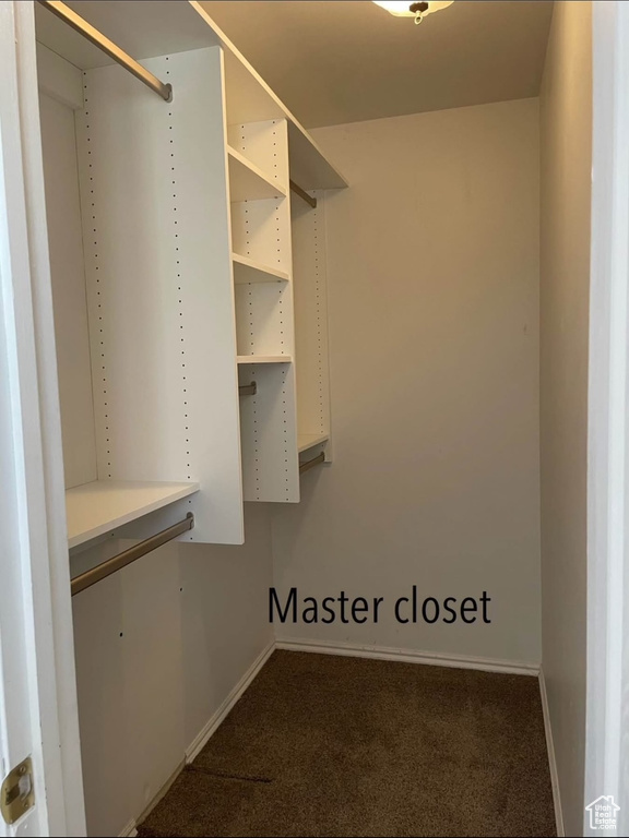 Walk in closet with carpet