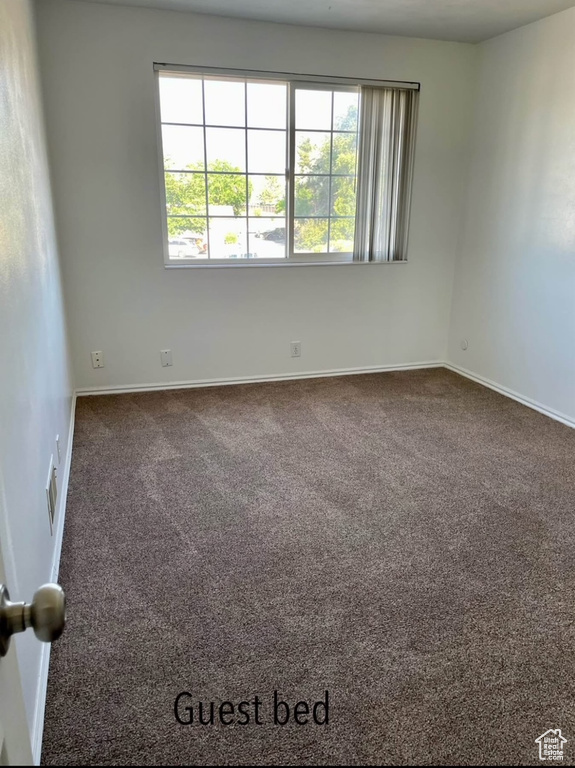 Unfurnished room featuring carpet floors