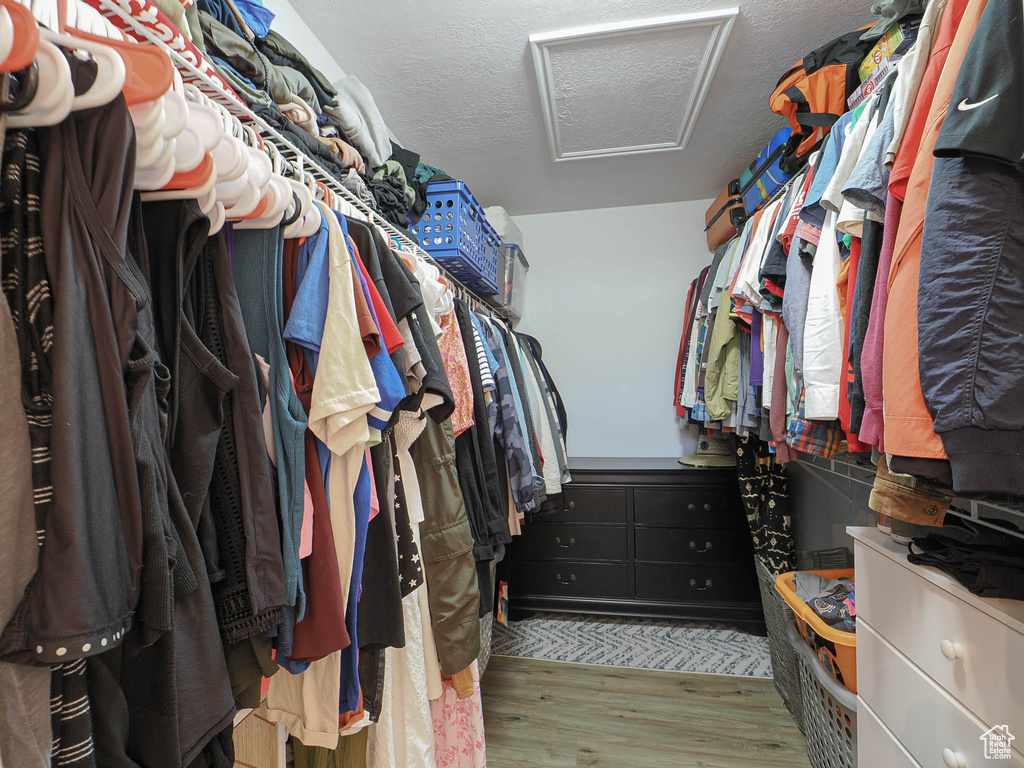 Walk in closet featuring attic access and wood finished floors