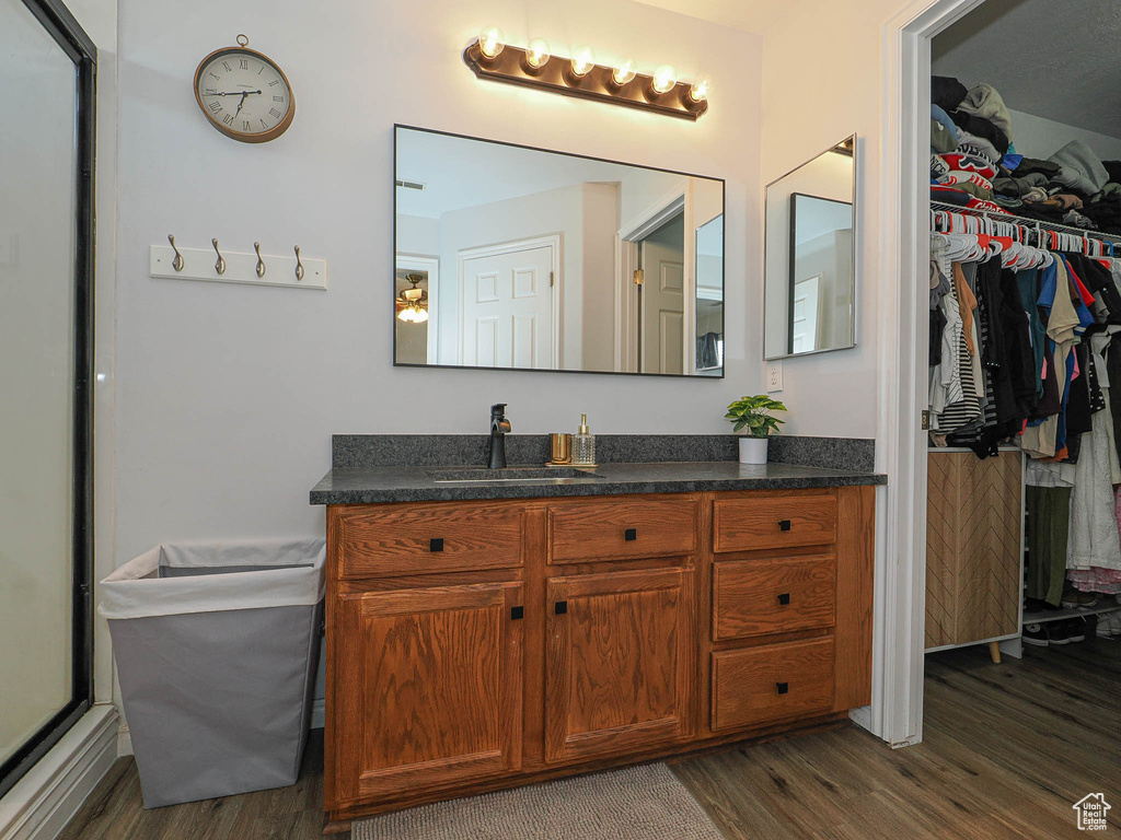 Bathroom with wood finished floors, vanity, and a walk in closet