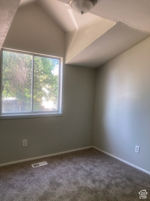 Bonus room with carpet floors and lofted ceiling