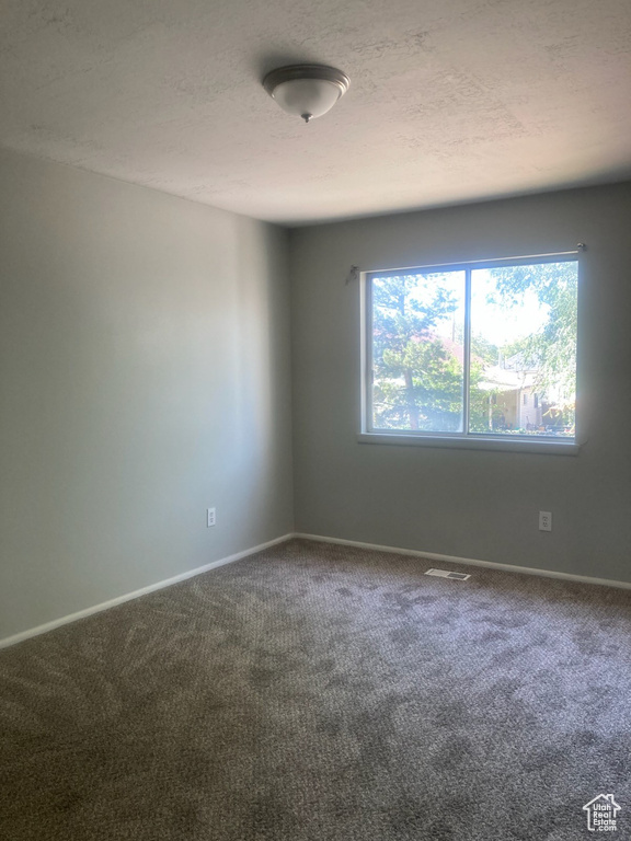 Unfurnished room with healthy amount of natural light, carpet floors, and a textured ceiling