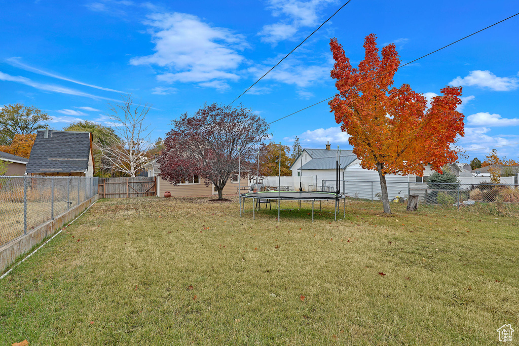 Fenced backyard with a trampoline
