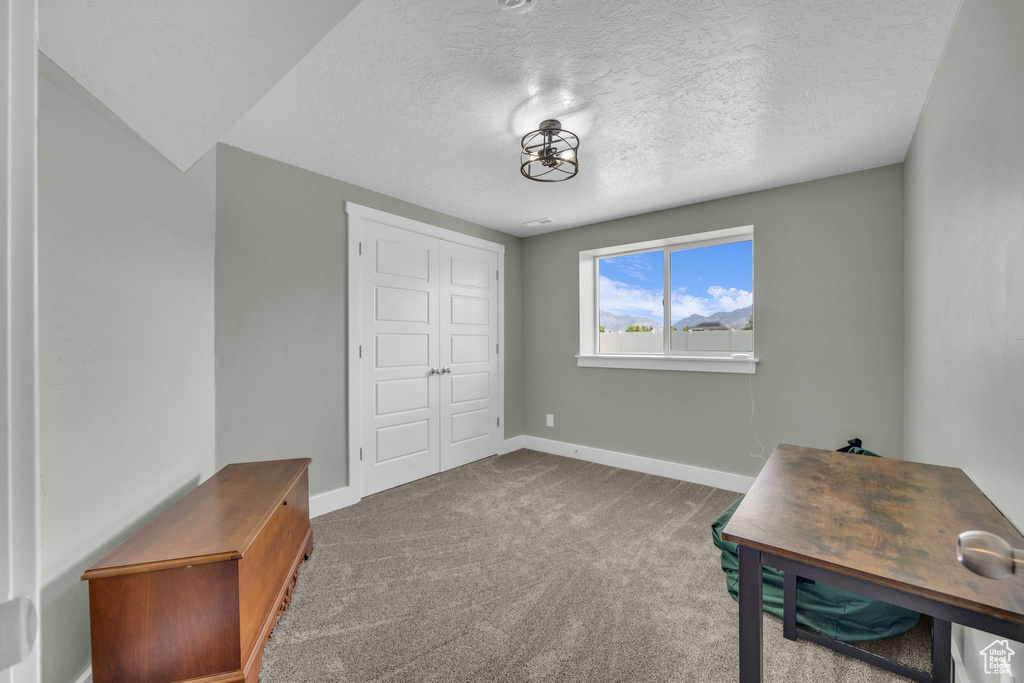 Unfurnished office featuring carpet and a textured ceiling