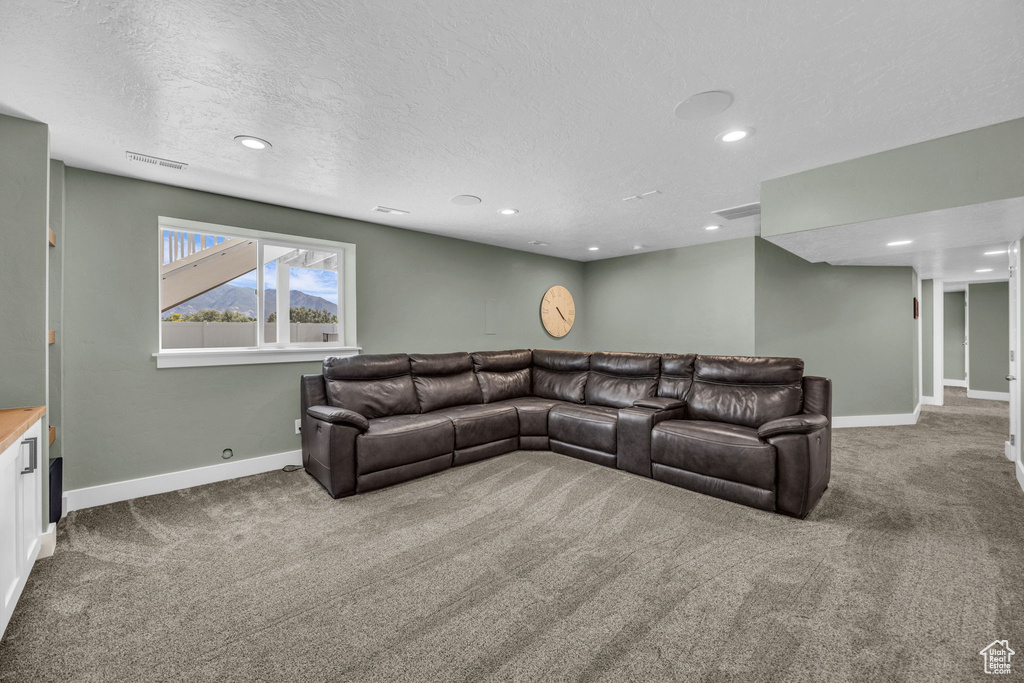 Carpeted living room with recessed lighting and a textured ceiling