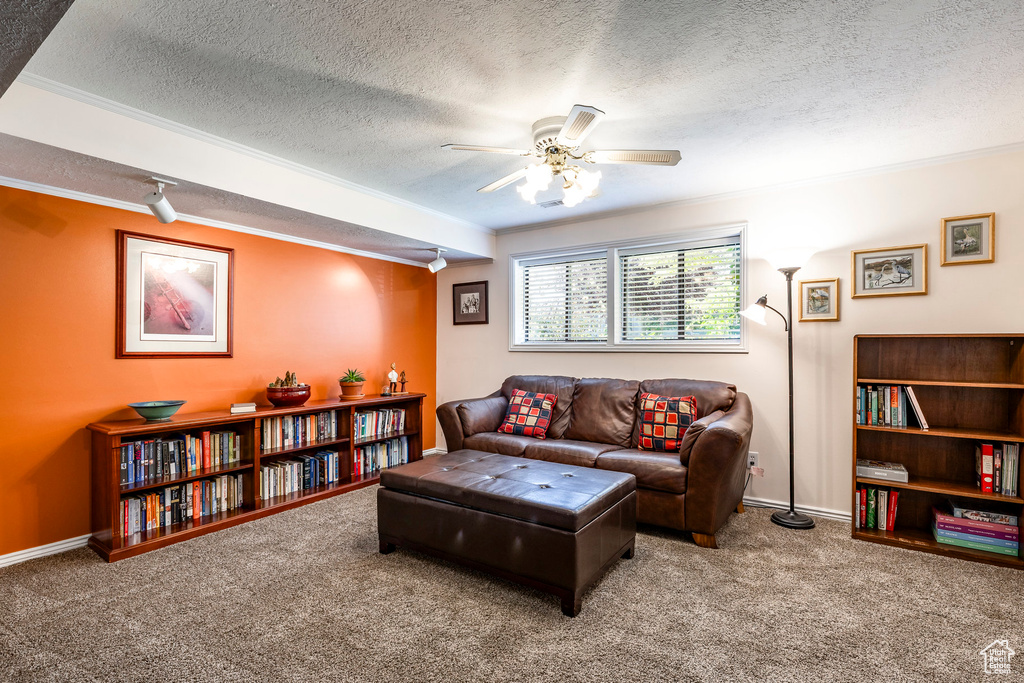 Living room with ceiling fan, carpet floors, ornamental molding, and a textured ceiling