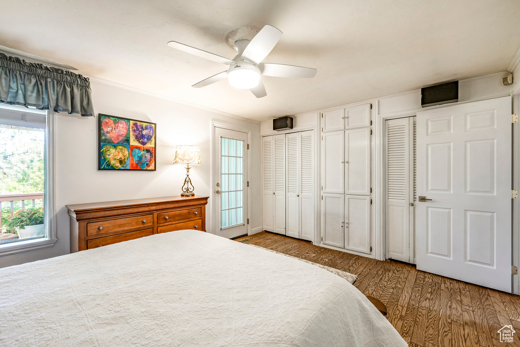 Bedroom featuring wood finished floors, multiple closets, multiple windows, a ceiling fan, and ornamental molding
