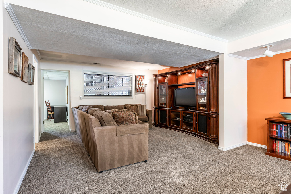 Carpeted living area featuring a textured ceiling and crown molding