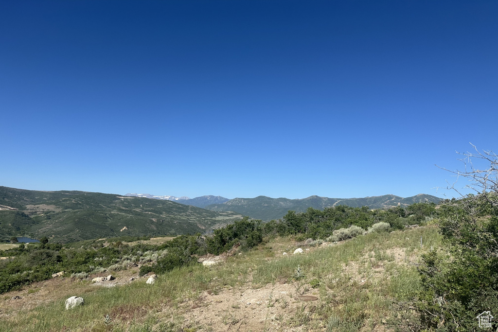 Mountain view