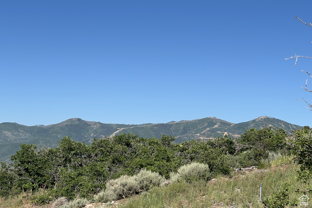 Mountain view