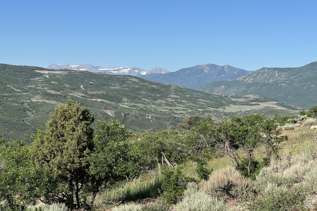 View of mountain background