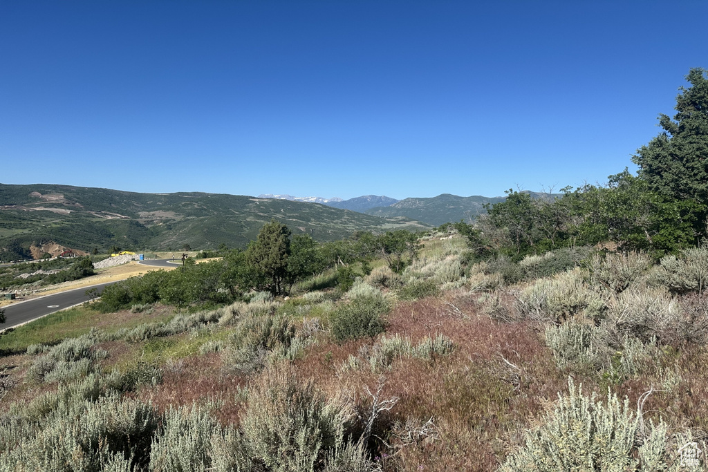 View of mountain backdrop