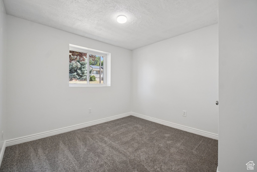 Unfurnished room with carpet floors and a textured ceiling