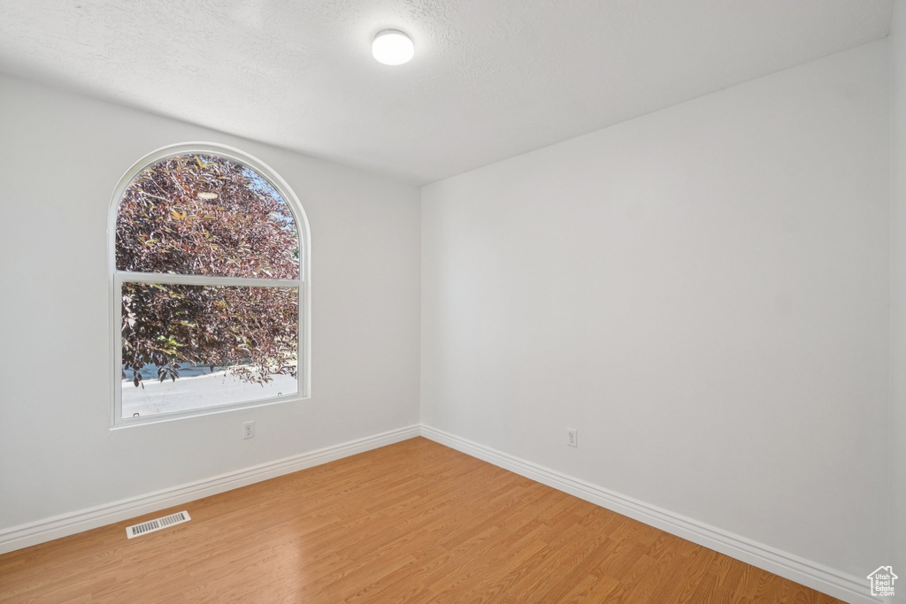 Spare room featuring light wood-type flooring and plenty of natural light