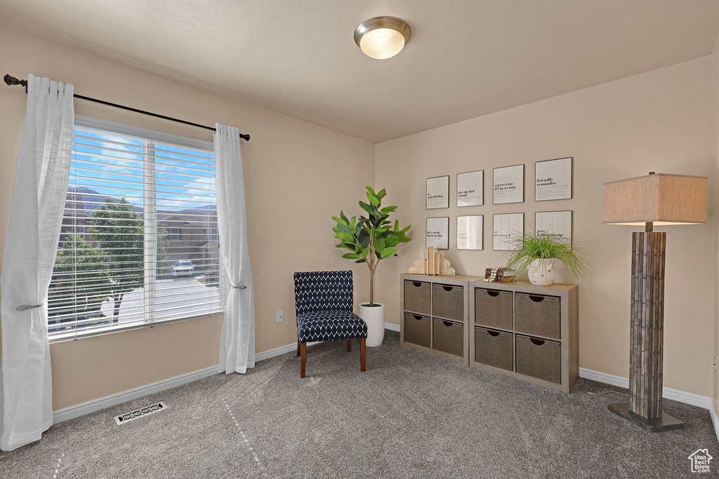 Living area featuring carpet and baseboards
