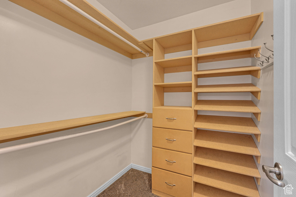 Spacious closet with dark colored carpet
