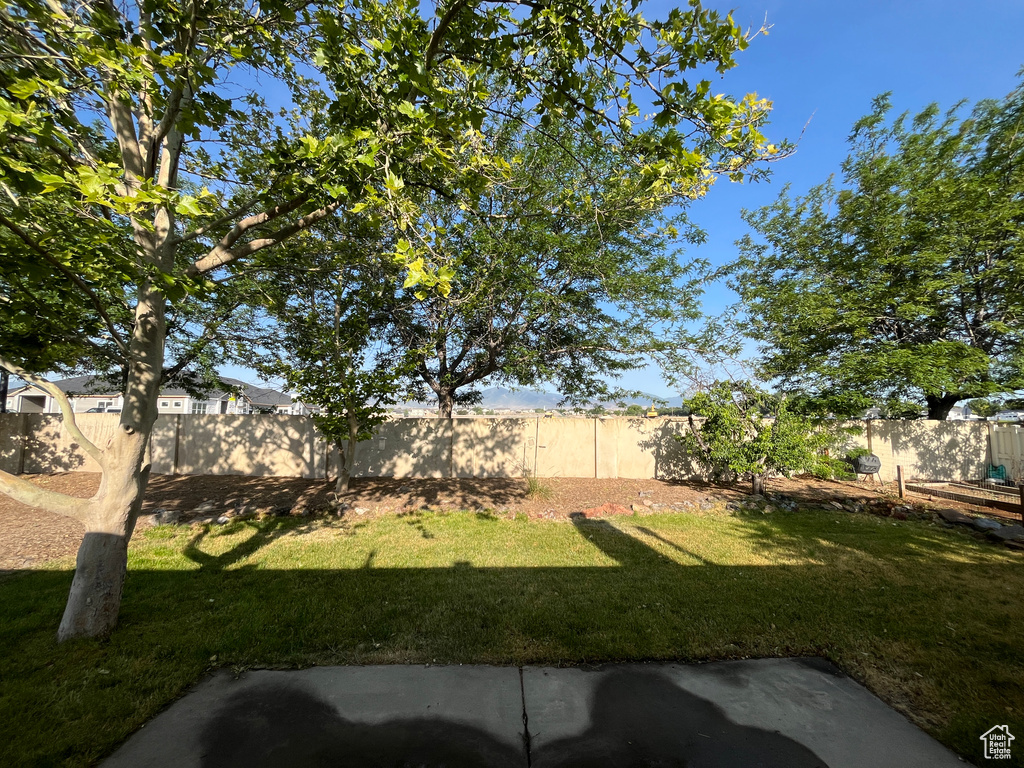 View of fenced backyard