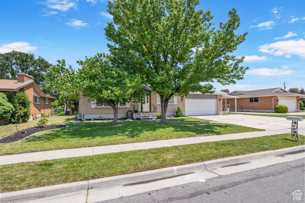 View of property hidden behind natural elements featuring brick siding, an attached garage, concrete driveway, and a front lawn