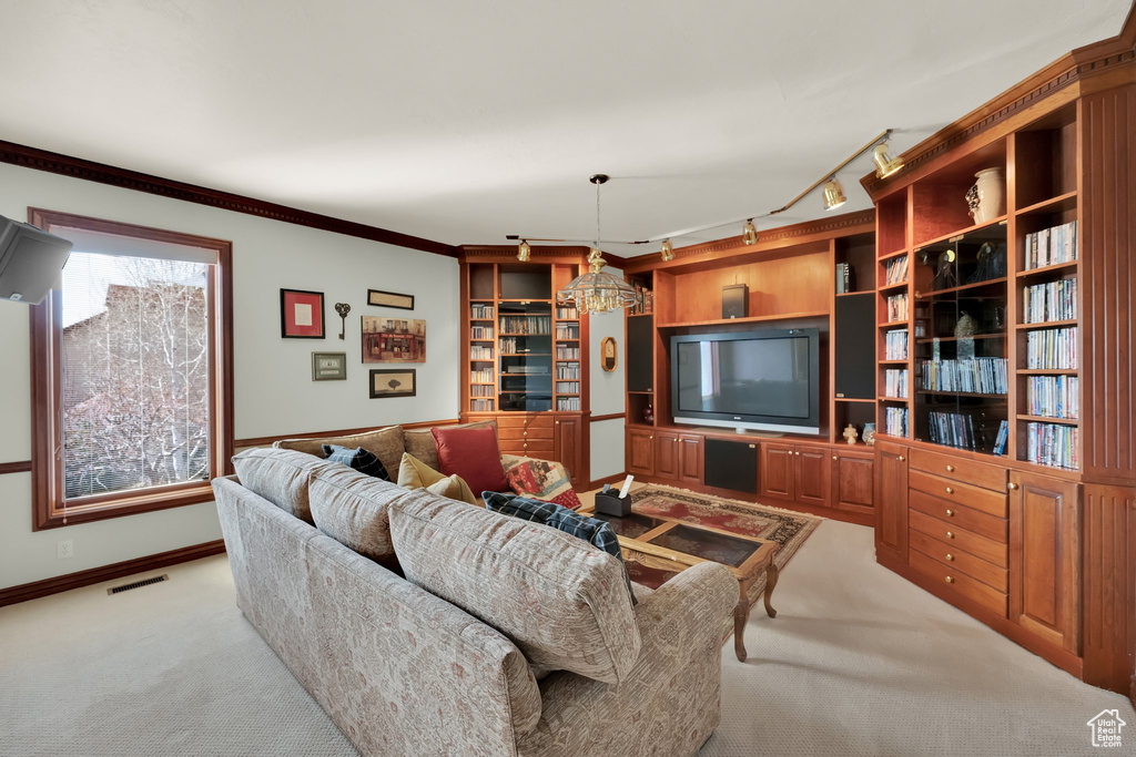 Living room featuring carpet flooring and track lighting