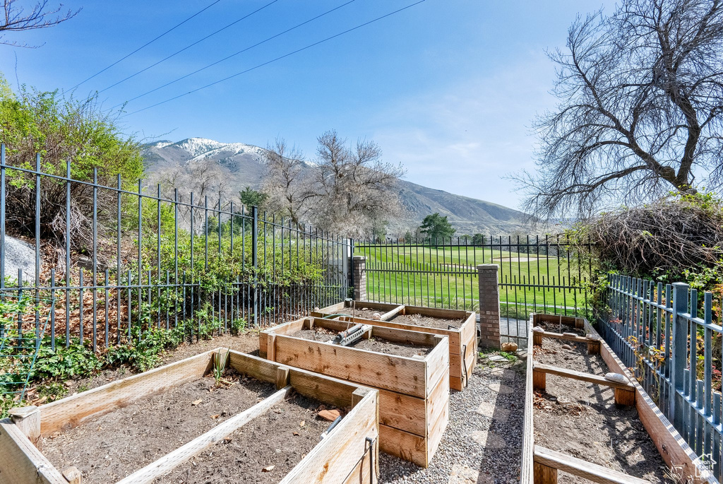 View of yard featuring a mountain view and a vegetable garden