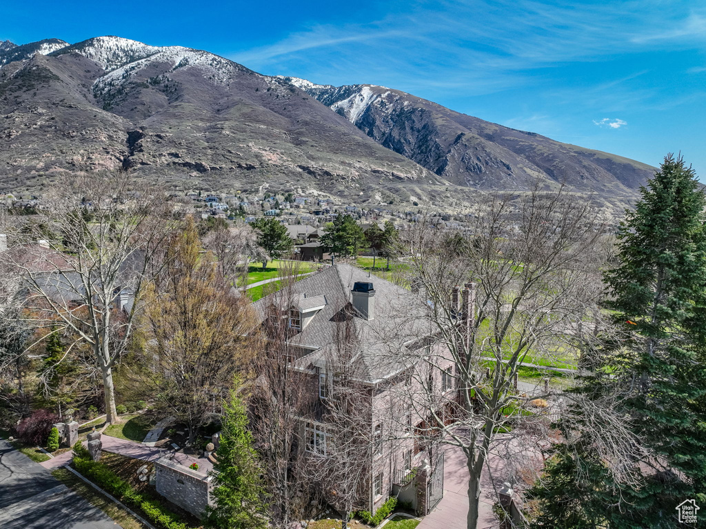 Mountain view