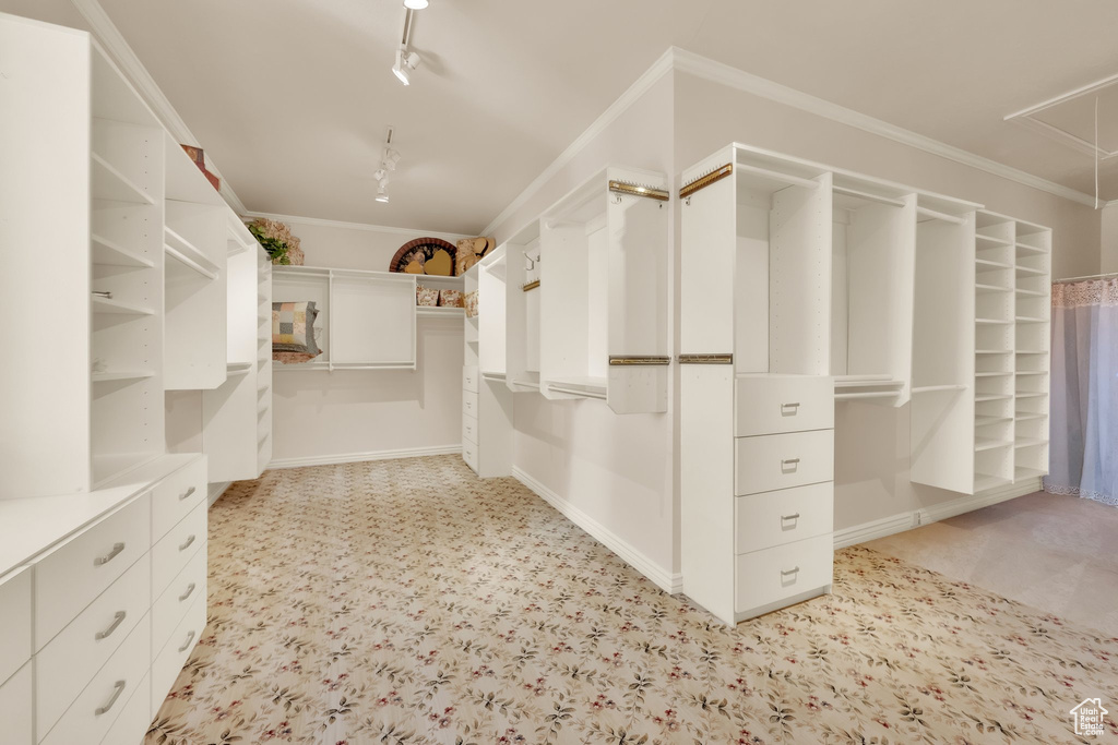 Spacious closet featuring attic access and light colored carpet