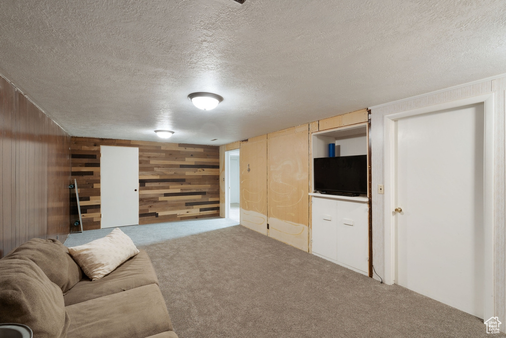 Carpeted living room with wood walls and a textured ceiling