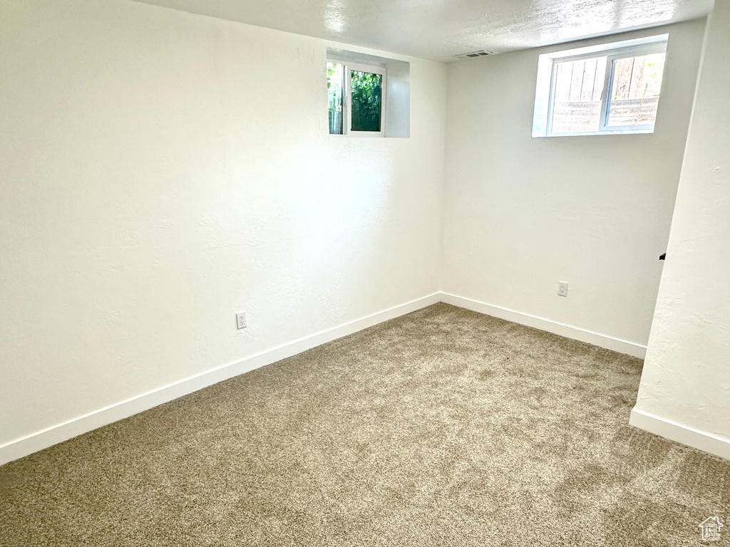 Below grade area with carpet flooring and plenty of natural light