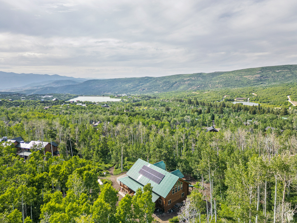 Aerial view of a forest and a mountainous background