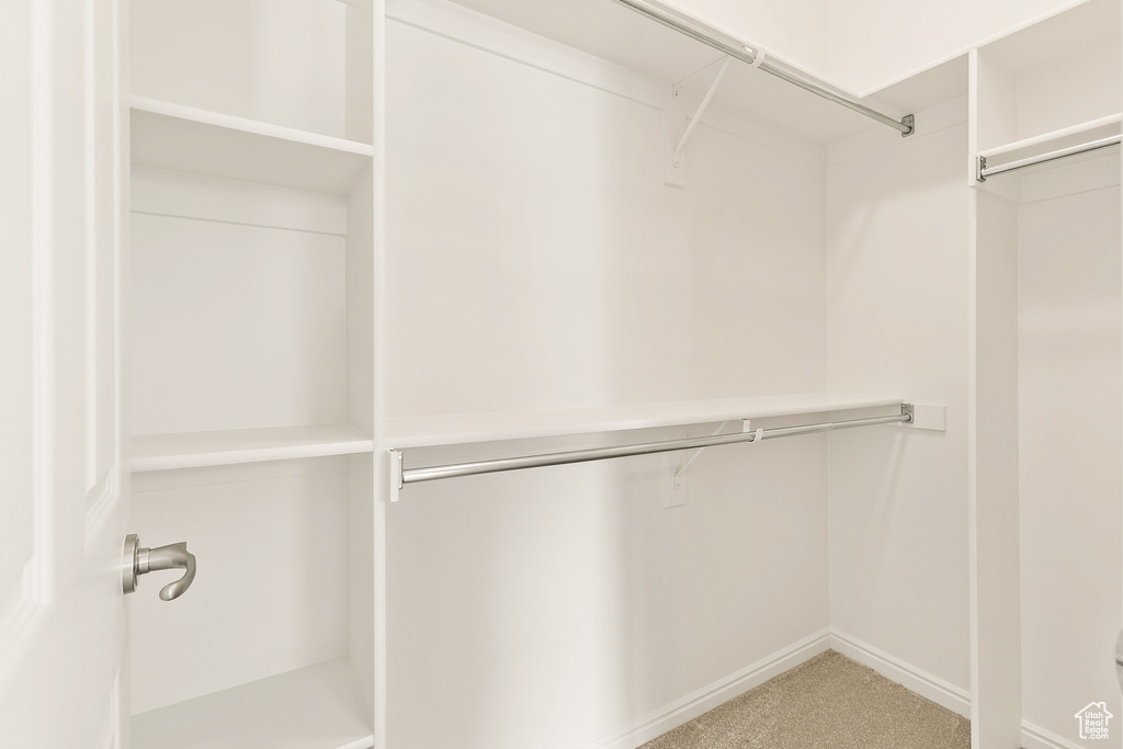 Spacious closet with carpet floors