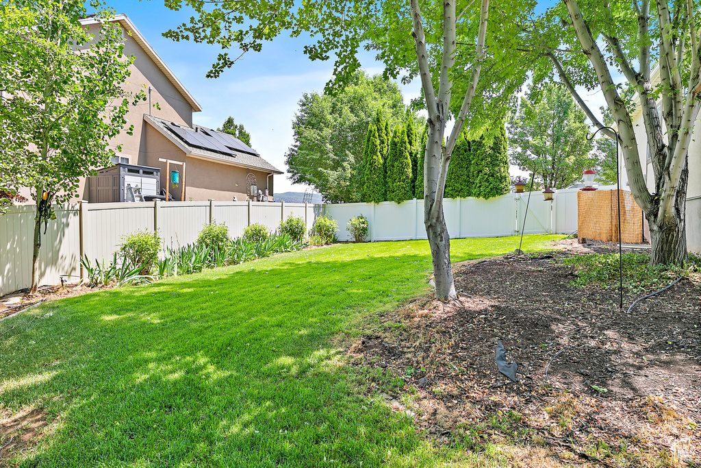 View of fenced backyard